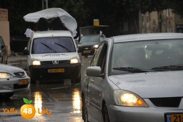 qafela sayarat haiywa (2).JPG